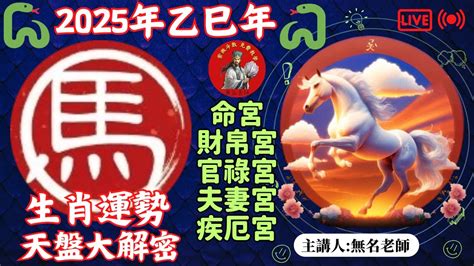 2025 年生肖|【2025星座年運】12星座全年運勢預測！蘇飛雅愛情、事業、財。